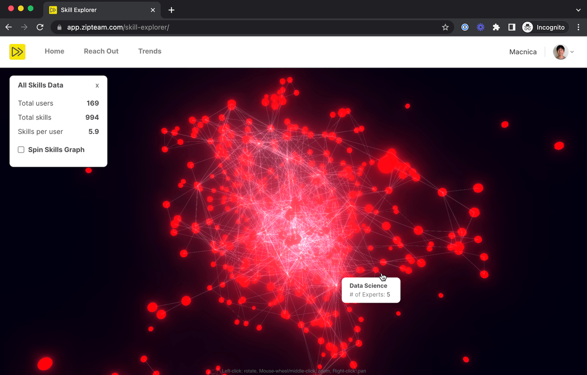 A screenshot GIF of Zipteam workspace-wide skills graph